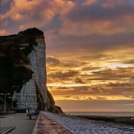 Daire Studio, Escale *