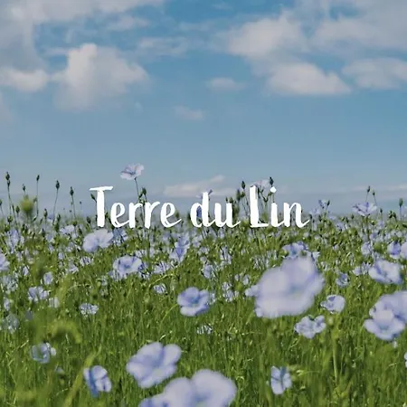 Studio, Escale Daire *