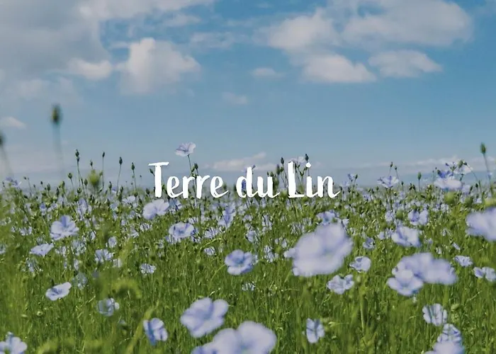 Studio, Escale 公寓 *